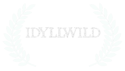 nominated best director at idyllwild 2015
