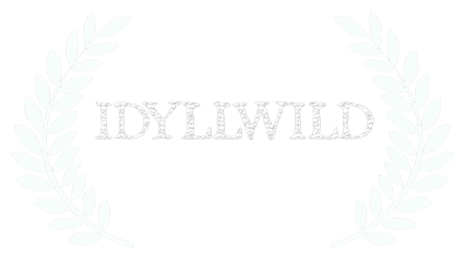 winner independent spirit idyllwild 2015